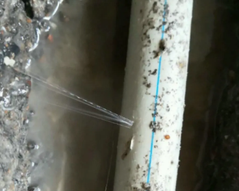 岚皋卫生间测漏水多少钱